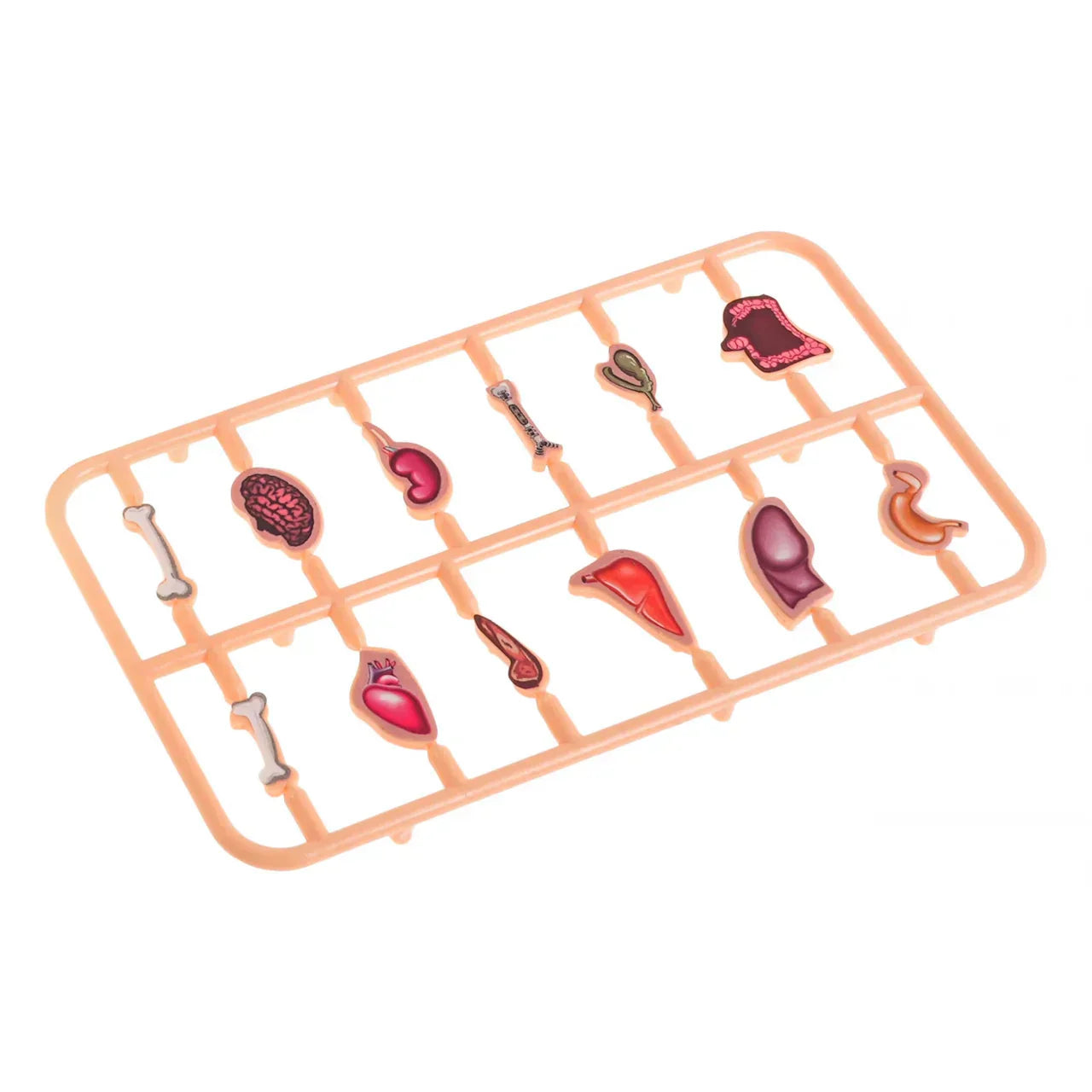 Crazy Doctor Game Set for Kids - Tiny Toys